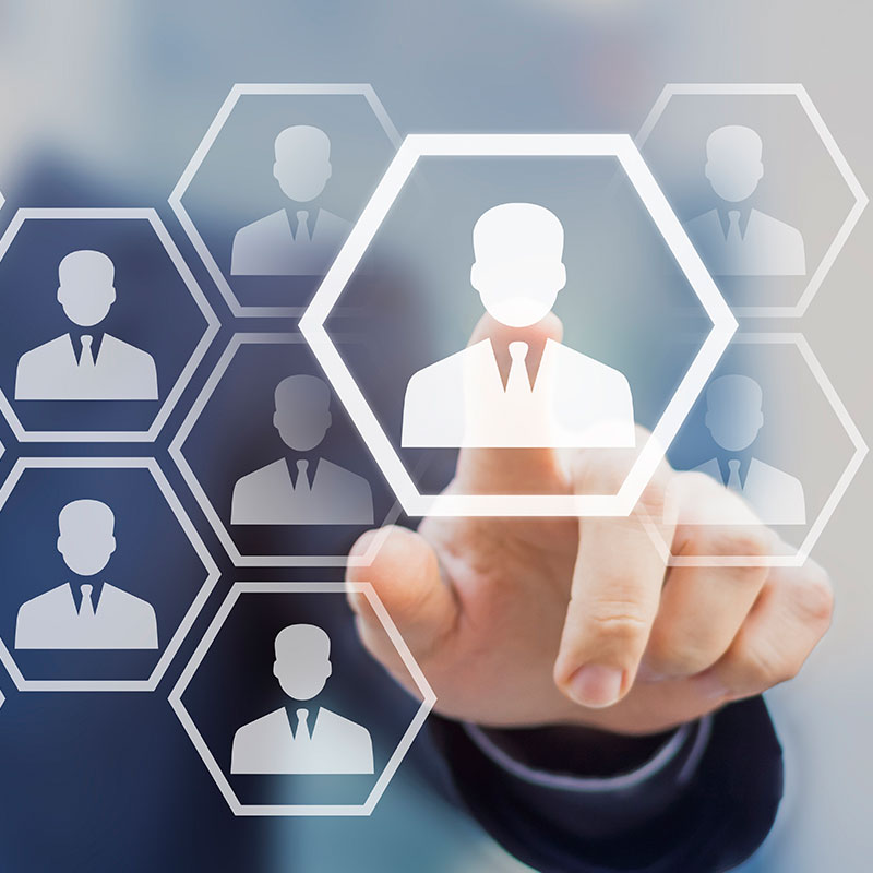 Organization Organization